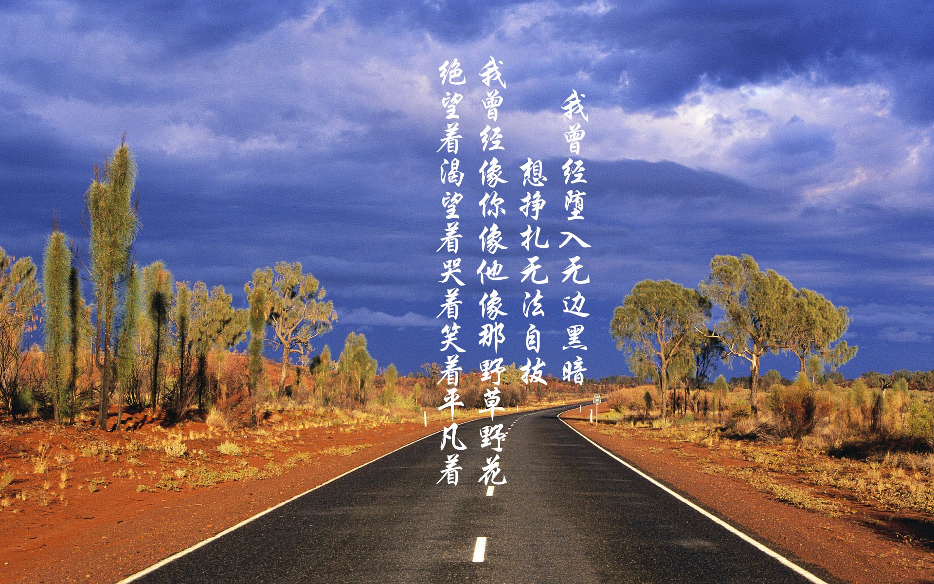 开云官网APP下载-奥运大黑马？英格兰横扫强敌挺进四强，英格兰居然赢了