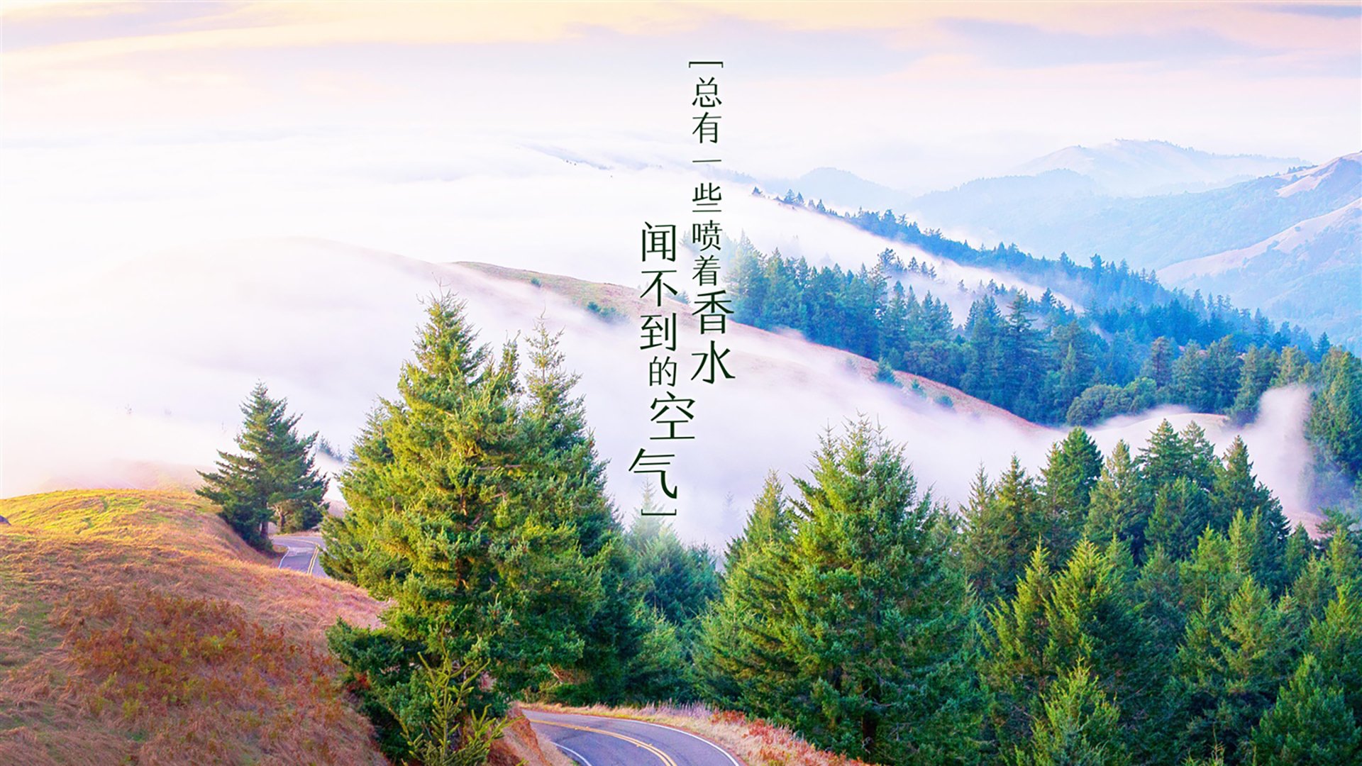 《掘金管理层评估球队阵容，考虑引援补强》，掘金成员