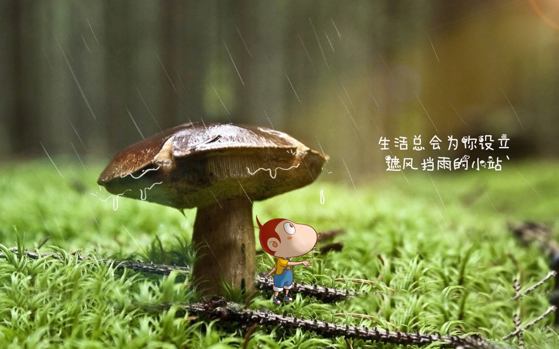 kaiyun官方网站-顶级中锋在挡拆战术中的使用方式，中锋挡拆顺下技巧
