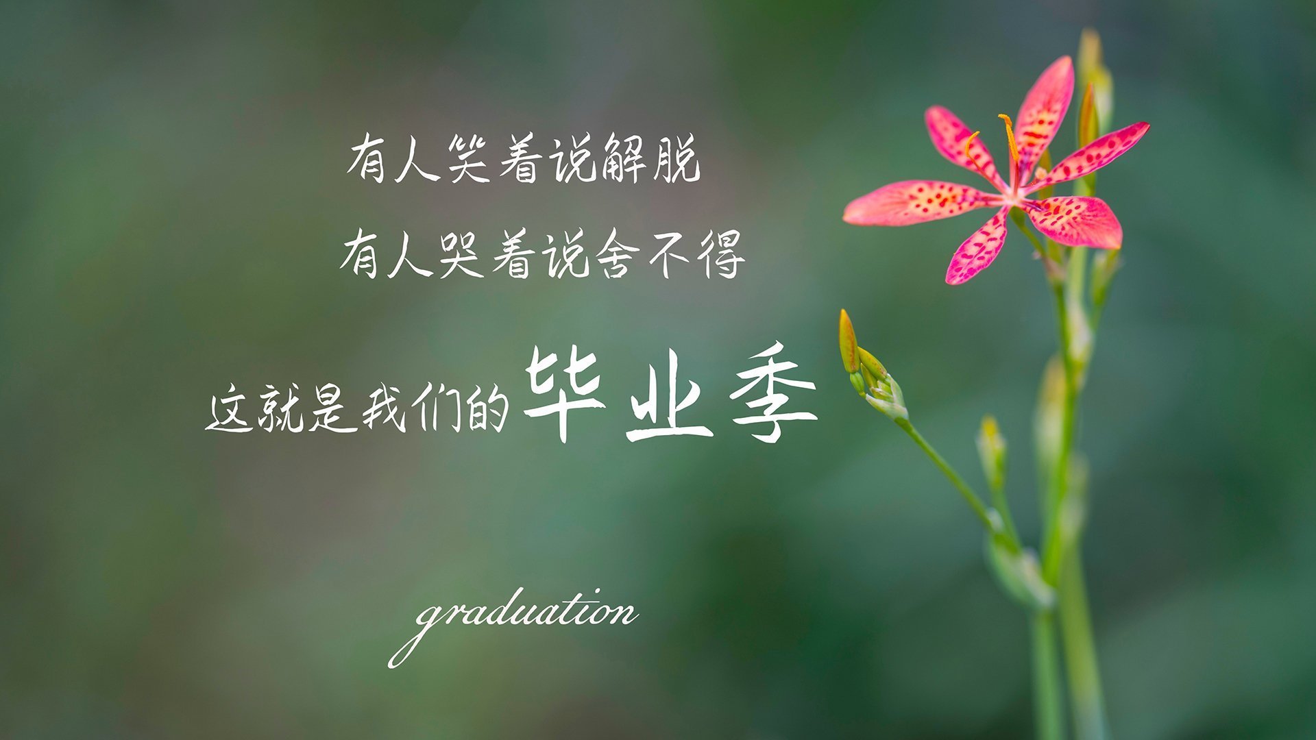 kaiyun.com-电子竞技足球比赛成为新潮流，吸引大批年轻观众，电竞足球项目