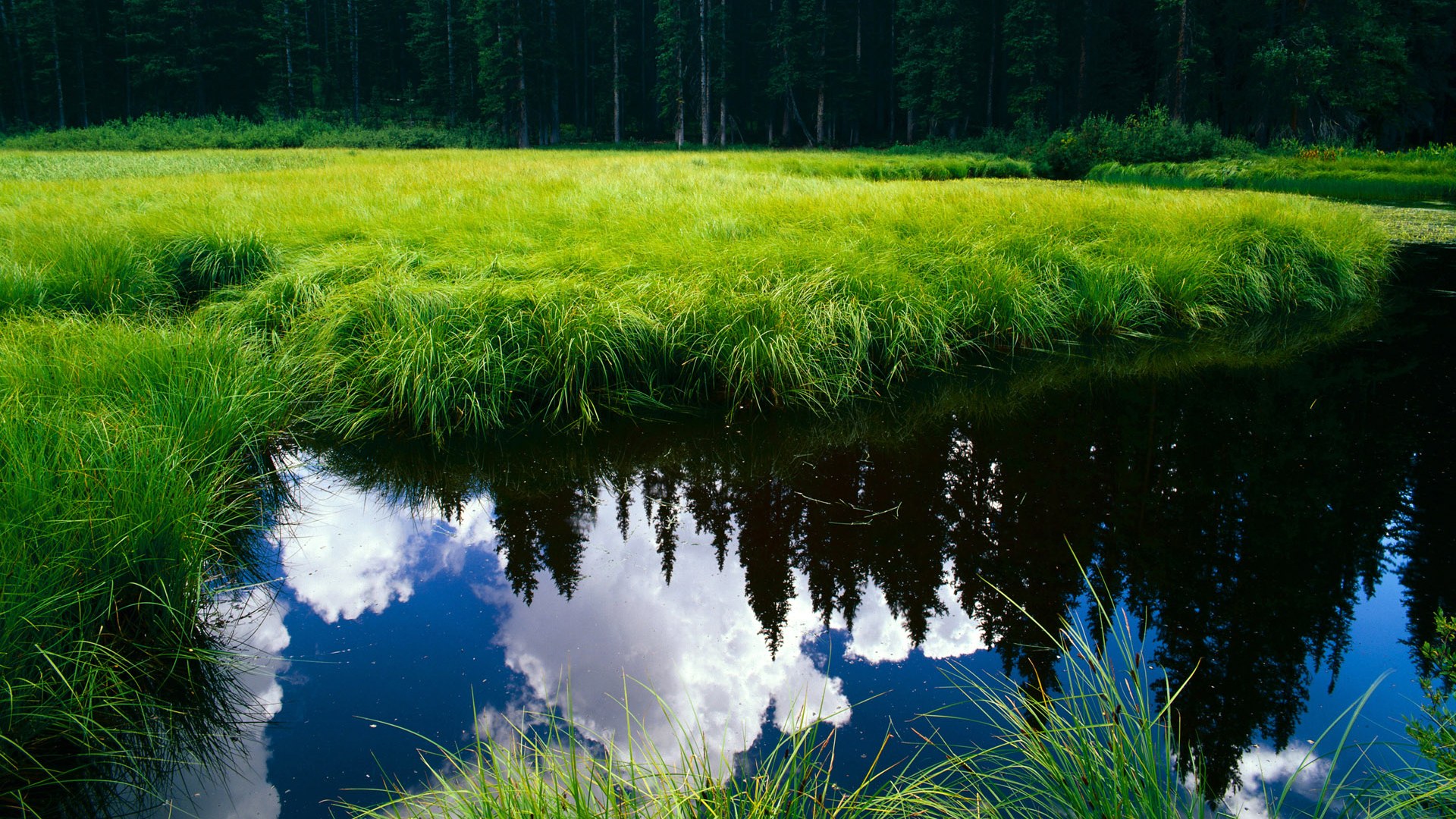 职业球员积极参与篮球公益和社区活动树立良好形象,篮球进社区公益活动方案计划