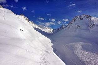 开云网页版-谷爱凌带动滑雪进校园活动升温，中国自由式滑雪选手谷爱凌介绍