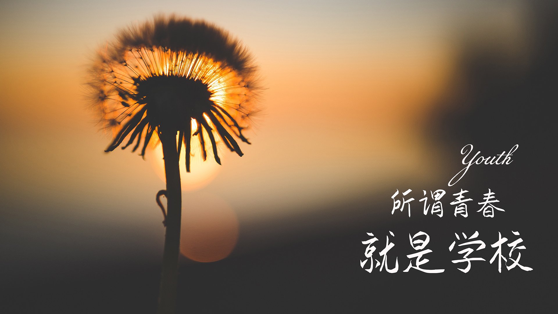 马修·图穆亚成为袋鼠队进攻的灵魂人物，带动全队攻势